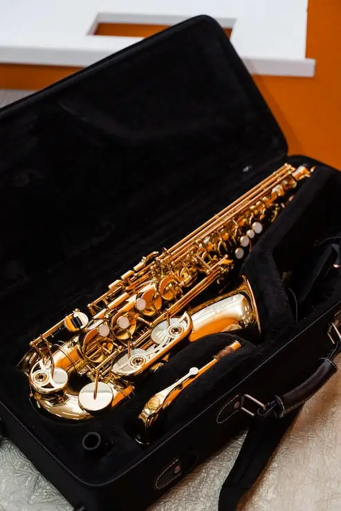 Bag para saxofone em São Paulo